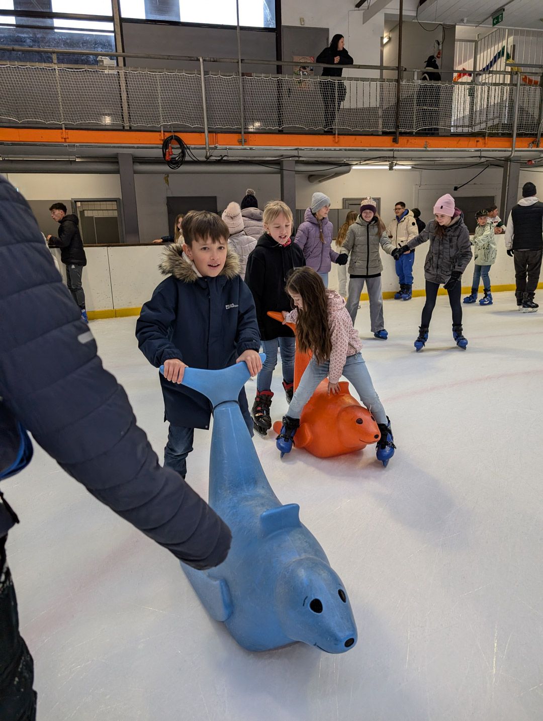 PXL_20250223_141203731_Bearbeitet